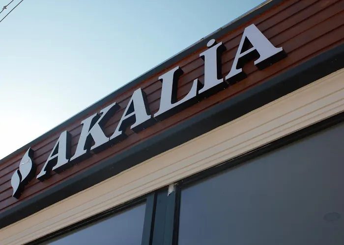 Akalia Resort Hotel & Spa 4* 锡德